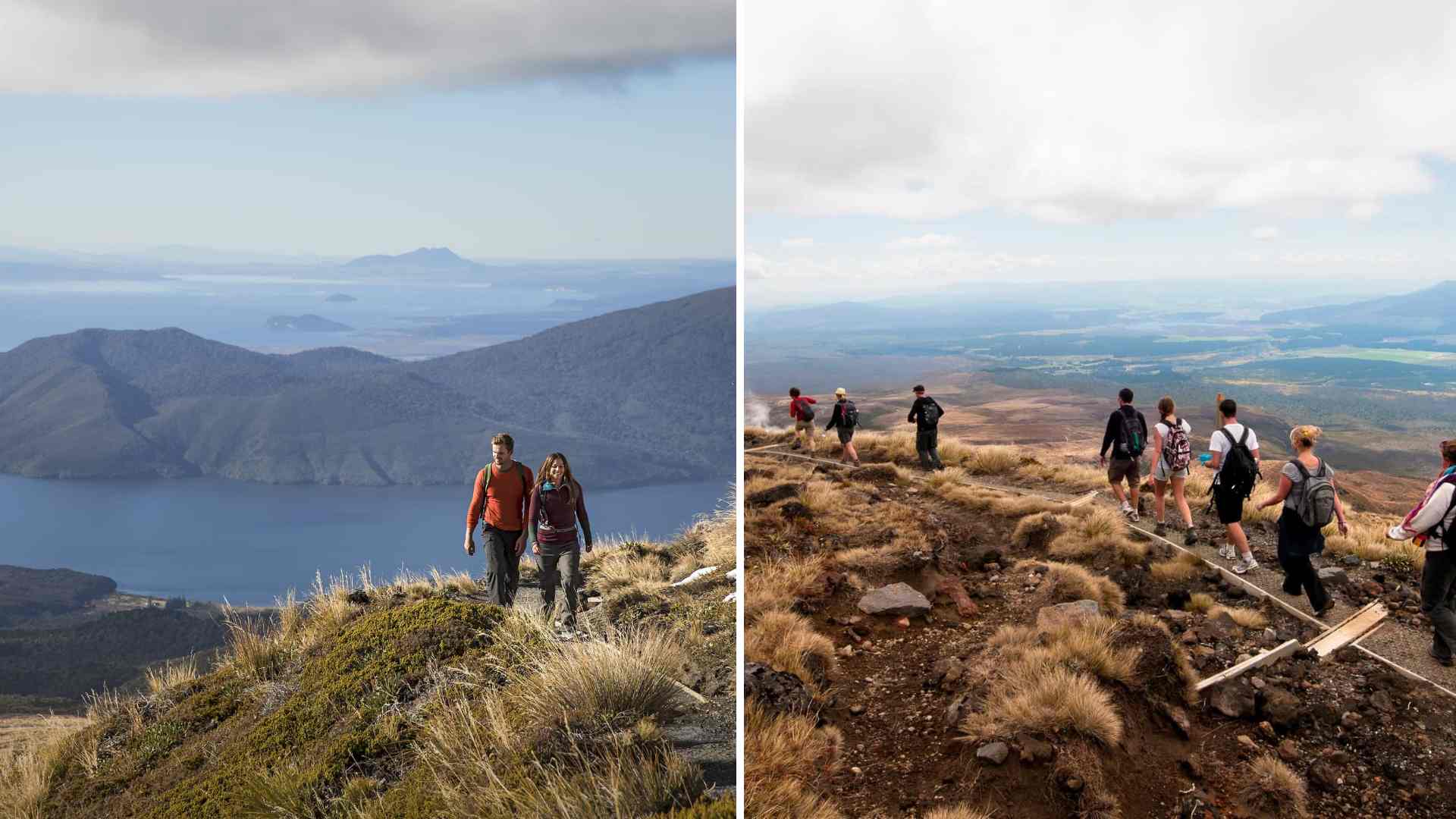 Backyard tours turangi